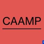 Caamp Band Presale Password